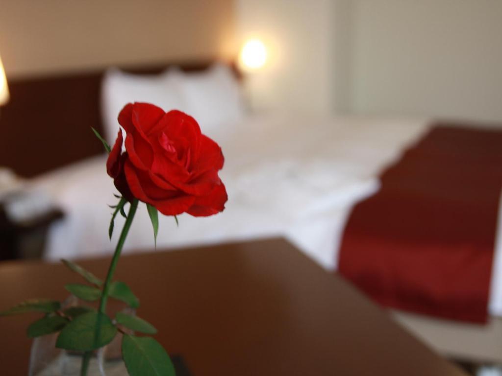Kurume Hotel Esprit Habitación foto